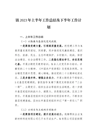 镇2023年上半年工作总结及下半年工作计划