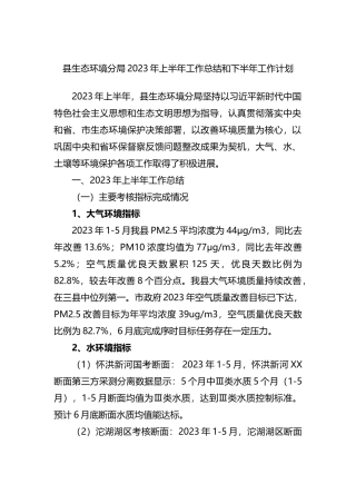 县生态环境分局2023年上半年工作总结和下半年工作计划