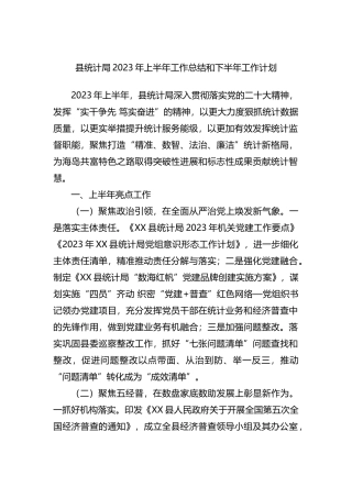 县统计局2023年上半年工作总结和下半年工作计划