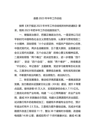 县委2023年上半年工作总结