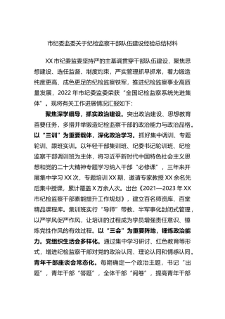 市纪委监委关于纪检监察干部队伍建设经验总结材料