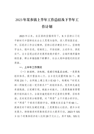 2023年某乡镇上半年工作总结及下半年工作计划