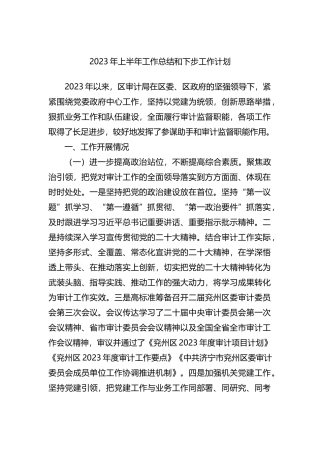 2023年上半年工作总结和下步工作计划