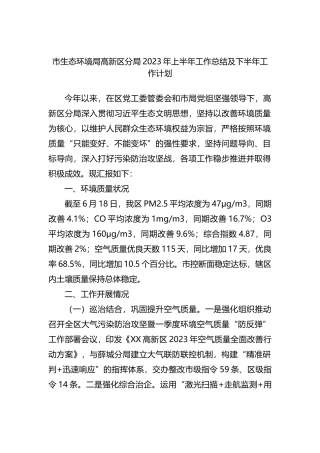 市生态环境局高新区分局2023年上半年工作总结及下半年工作计划