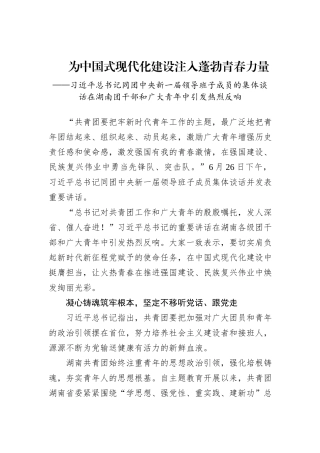 为中国式现代化建设注入蓬勃青春力量