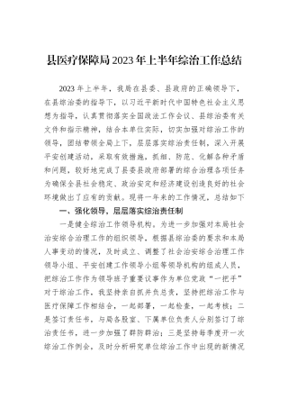 县医疗保障局2023年上半年综治工作总结