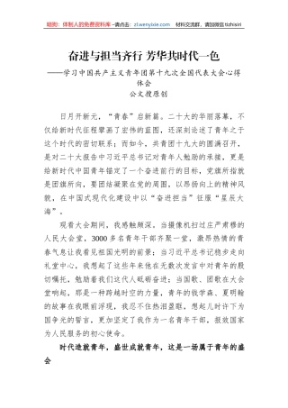 奋进与担当齐行+芳华共时代一色——青年干部学习共青团十九大精神心得体会（公文搜原创）