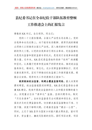 县纪委书记在全市纪检干部队伍教育整顿工作推进会上的汇报发言