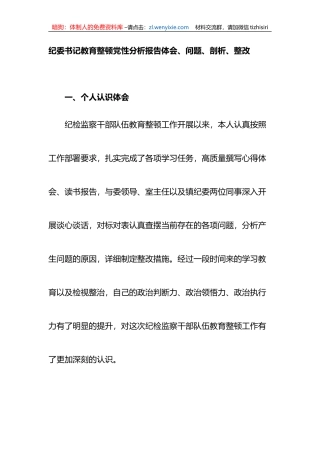 纪委书记教育整顿党性分析报告