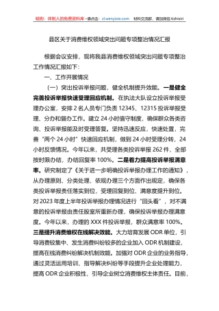县区关于消费维权领域突出问题专项整治情况汇报