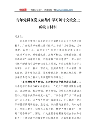 青年党员在党支部集中学习研讨交流会上的发言材料