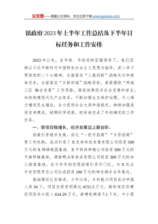 镇政府2023年上半年工作总结及下半年目标任务和工作安排
