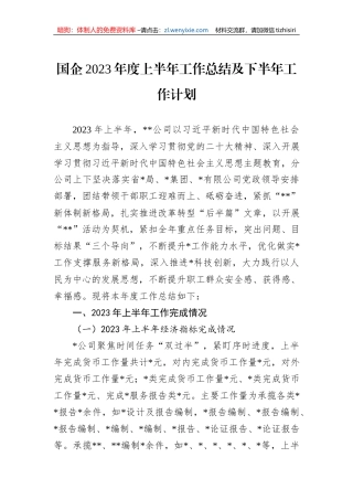 国企2023年度上半年工作总结及下半年工作计划