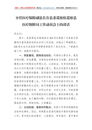 分管医疗保障副县长在县委巡察组巡察县医疗保障局工作动员会上的讲话