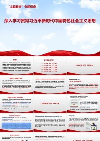 主题教育专题讲座深入学习贯彻习近平新时代中国特色社会主义思想
