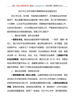 2023年上半年市医疗保障局局长个人述法报告