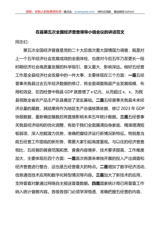 全县第五次全国经济普查领导小组工作会议讲话