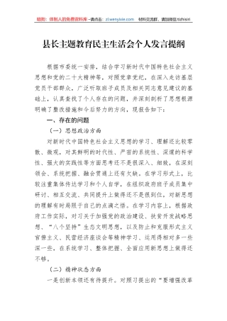 县长主题教育民主生活会个人发言提纲