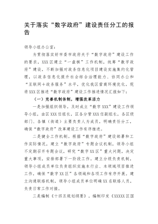 【情况报告】关于落实“数字政府”建设责任分工的报告
