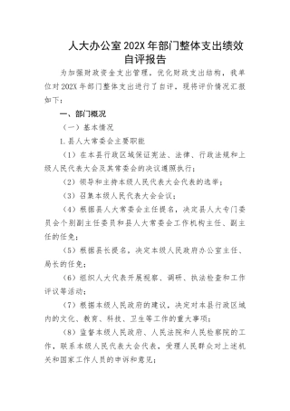 【人大】人大办公室部门整体支出绩效自评报告