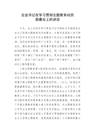 【主题教育】企业书记在学习贯彻主题教育动员部署会上的讲话