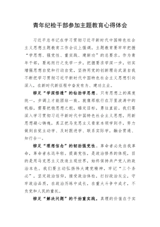 【主题教育】青年纪检干部参加主题教育心得体会