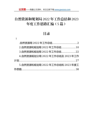 自然资源和规划局2022年工作总结和2023年度工作思路汇编（5篇）