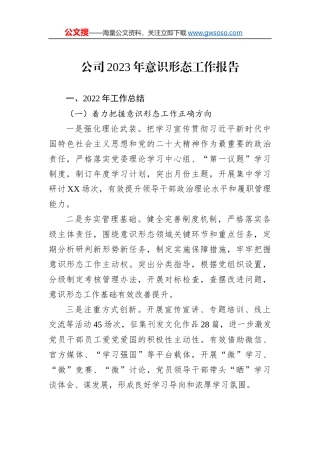 公司2023年意识形态工作报告 (1)