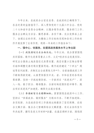 2022年县政府办公室工作总结