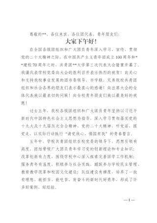 在2022年共青团某大学代表大会上的讲话