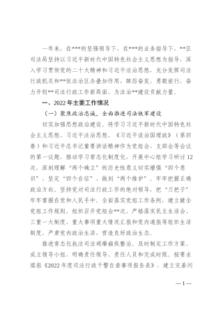 区司法局2022年度工作总结及2023年工作打算