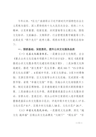 区文化广电旅游局2022年工作汇报