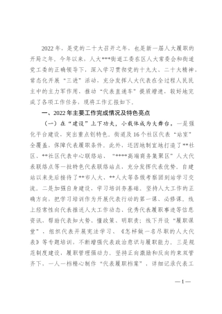 人大街道工委2022年工作报告