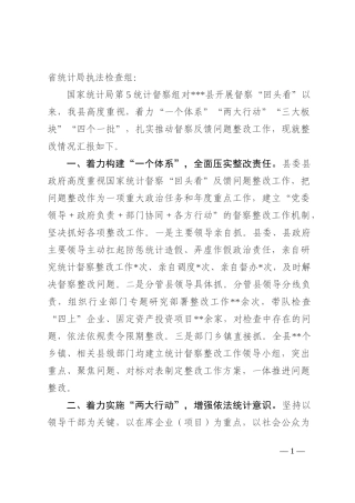 县关于国家统计督察“回头看”反馈问题整改情况汇报
