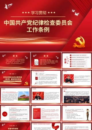 学习贯彻《纪律检查委员会工作条例》