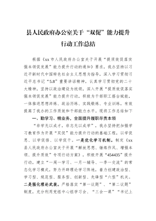 县人民政府办公室关于“双促”能力提升行动工作总结