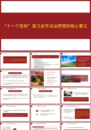 “十一个坚持”是习近平法治思想的核心要义（ppt）