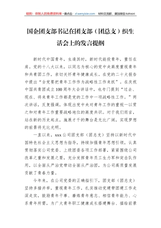国企团支部书记在团支部（团总支）织生活会上的发言提纲