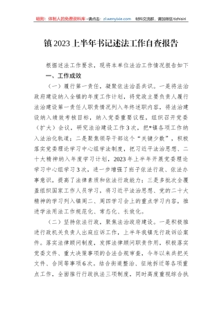 镇2023上半年书记述法工作自查报告