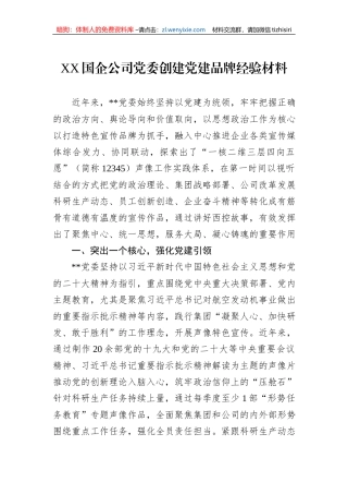XX国企公司党委创建党建品牌经验材料