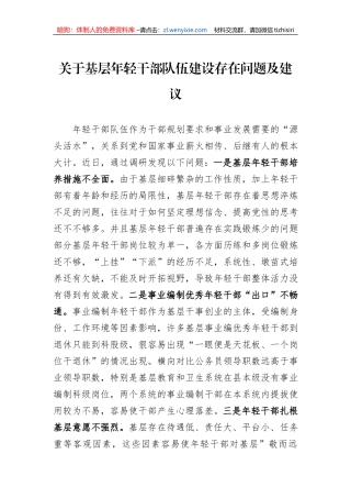 关于基层年轻干部队伍建设存在问题及建议