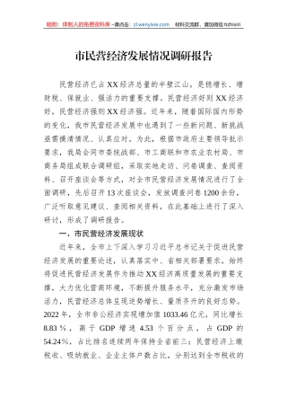 市民营经济发展情况调研报告