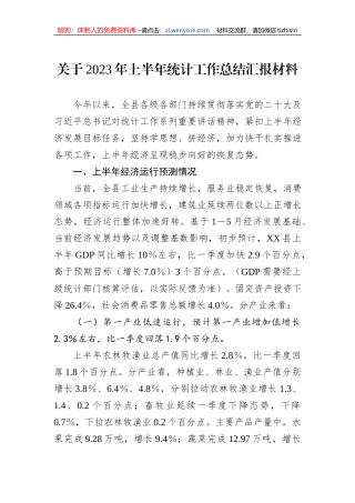 关于2023年上半年统计工作总结汇报材料