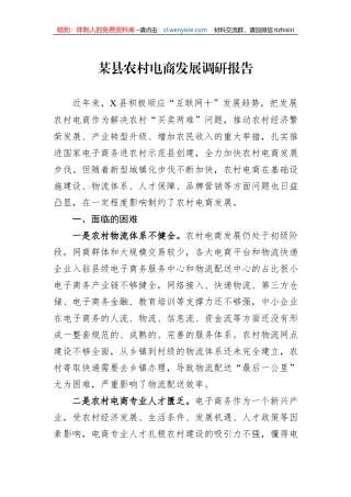 某县农村电商发展调研报告