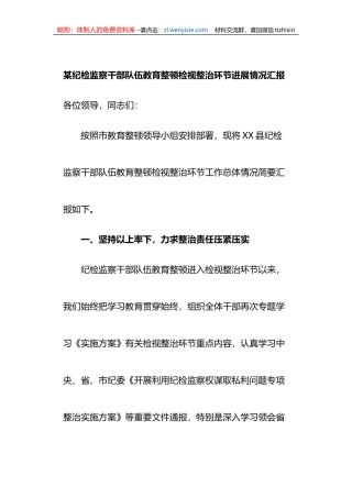 某纪检监察干部队伍教育整顿检视整治环节进展情况汇报