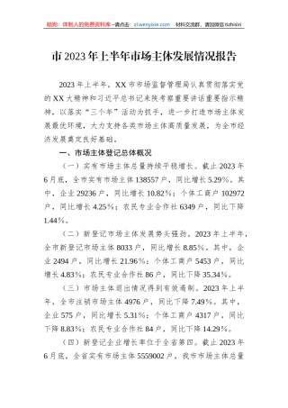 市2023年上半年市场主体发展情况报告
