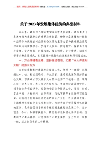 关于2023年发展集体经济的典型材料