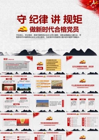 做新时代合格党员守规矩讲纪律