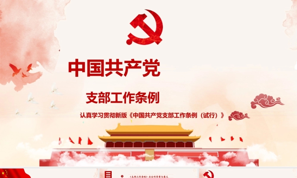 支部工作条例学习(8)