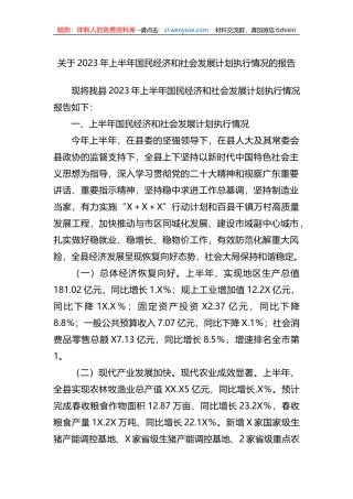 关于2023年上半年国民经济和社会发展计划执行情况的报告（总结）